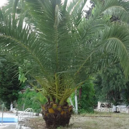 Poros شقة فندقية