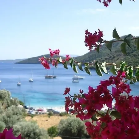 Poros Beach Mikros Gialos